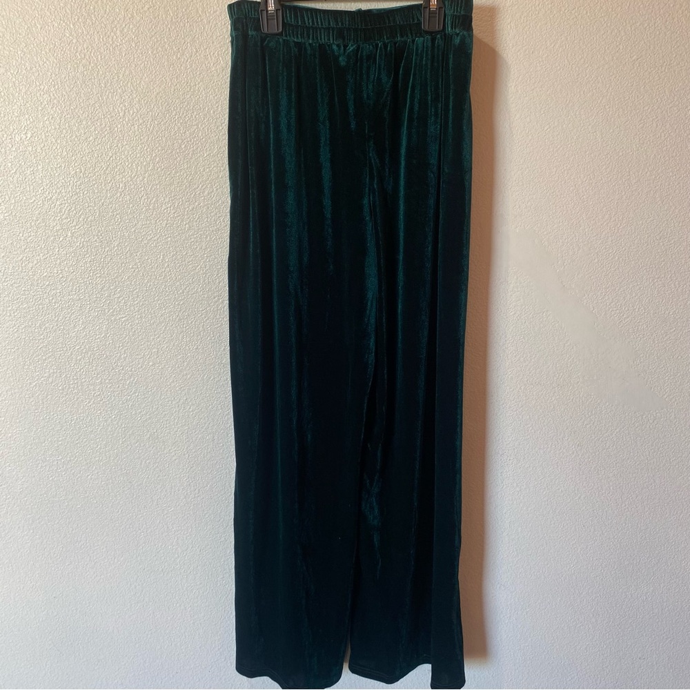 Emerald Velvet Velour Pants - Picture 2 of 6
